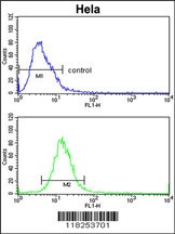 ADH6 Antibody