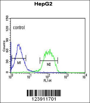 FBXO3 Antibody