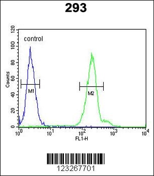 CRELD2 Antibody