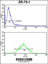 PXMP4 Antibody