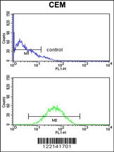 CNDP1 Antibody