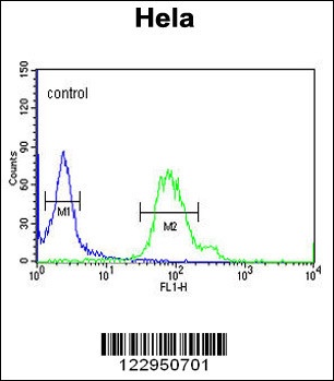 GABARAPL1 Antibody