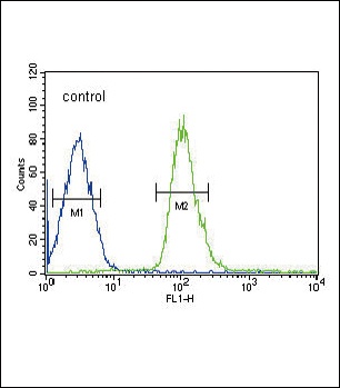 DUSP2 Antibody