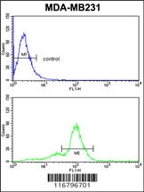 ACR Antibody