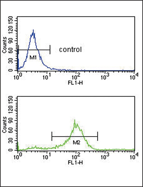 SFRP1 Antibody