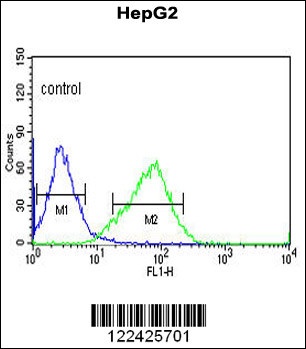 OR2H2 Antibody