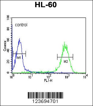 DLK2 Antibody