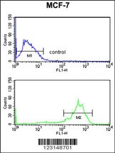 TUBB1 Antibody