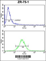 E2F5 Antibody