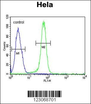 C15orf2 Antibody