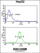 GSTA4 Antibody