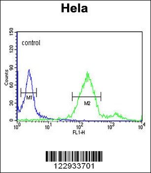 RAB8A Antibody