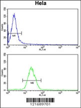 INSIG1 Antibody