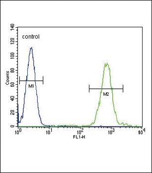 SLC8A1 Antibody