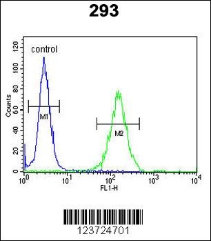 DZIP1 Antibody