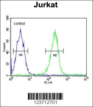 DTX1 Antibody