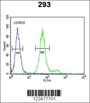 ADAMTS18 Antibody