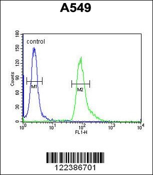 ABHD12 Antibody