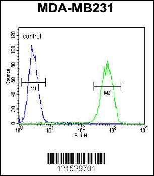 GPA33 Antibody