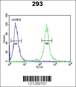 TCERG1L Antibody