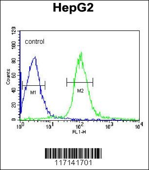 MGST2 Antibody