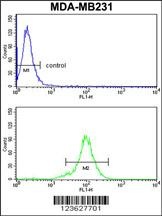 RPGRIP1 Antibody