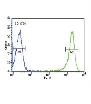 PSMB1 Antibody