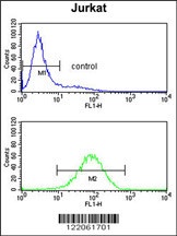 PLCL1 Antibody