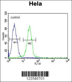 EWSR1 Antibody