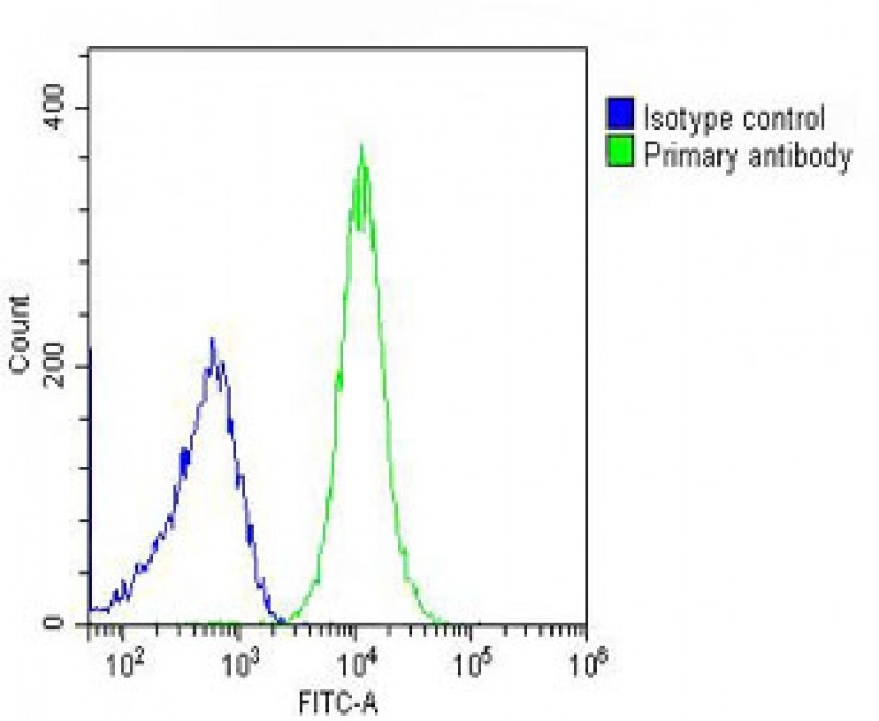 SCNN1A Antibody