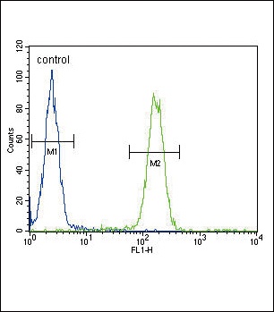 SCNN1A Antibody