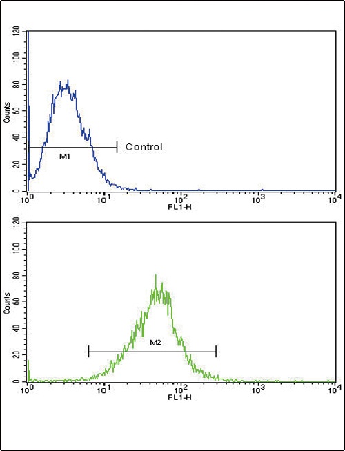 IL18RAP Antibody