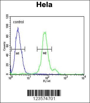 CTPS2 Antibody