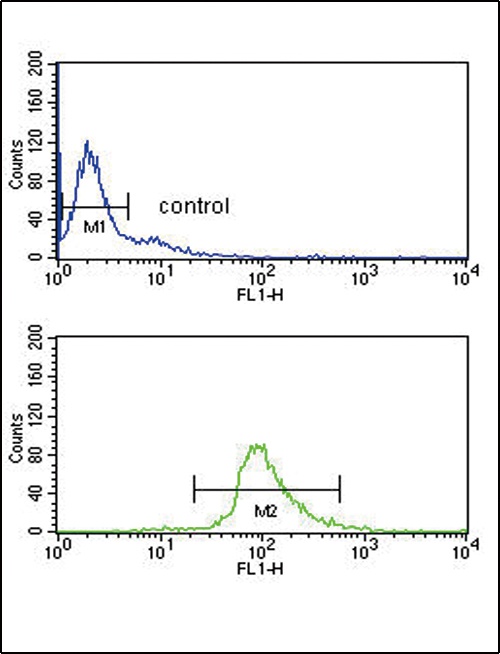 DCT Antibody