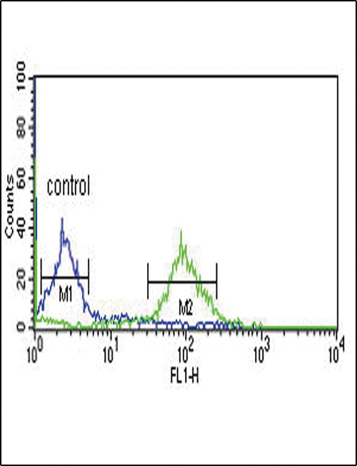 DCI Antibody