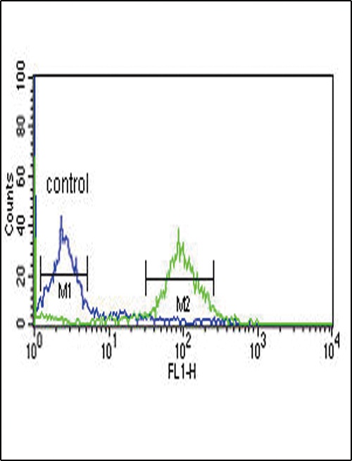 ECI1 Antibody