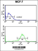 IL10RA Antibody