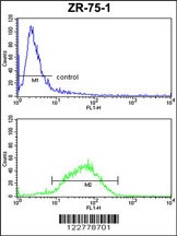 HSPA4L Antibody