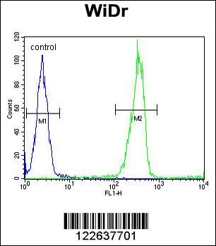 LGALS2 Antibody