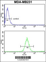 SKIV2L2 Antibody