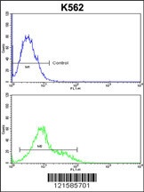 SORCS1 Antibody