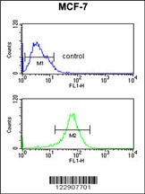 DIO2 Antibody