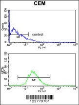 HSPA6 Antibody