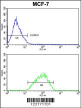 DERL2 Antibody