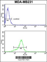 AGPAT4 Antibody