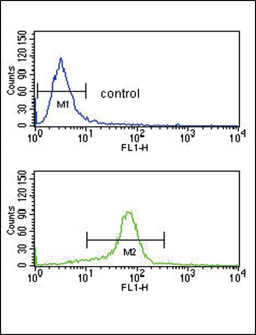 CACNA2D1 Antibody