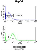 PECI Antibody