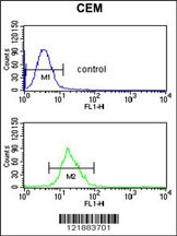 ITGB3 Antibody