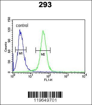 TARSL2 Antibody