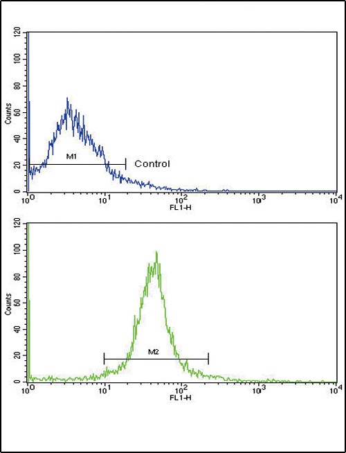 ADIPOR1 Antibody